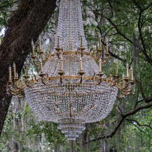 Leu Gardens Nov 2025 - 2500px-8.jpg