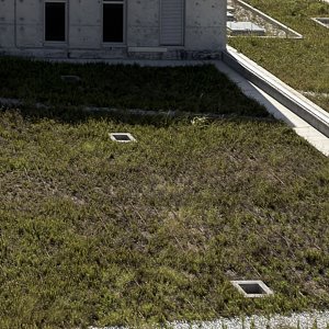 IMG_2666%20Edited Edited.jpg