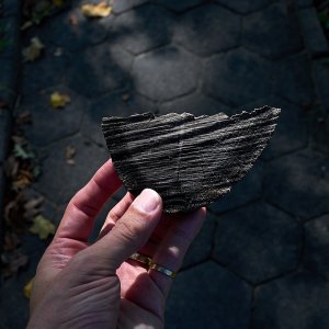 2025-10-06 ~ A7C04995.jpg