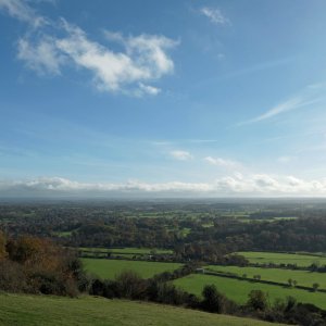 November at Box Hill.JPG