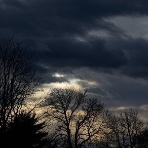 2025-11-14 ~ R52_9872.jpg