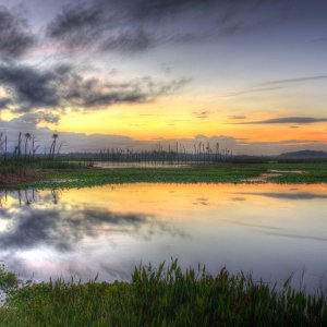 Sunrise 1 - 2500px.jpg