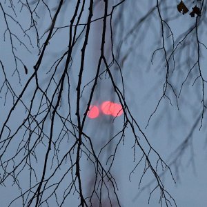 2025-11-15 ~ R52_0375.jpg