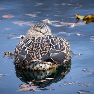 2025-11-16 ~ R52_0525.jpg