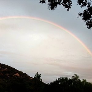 IMG_20251114_062452 x.jpg