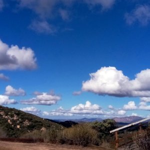 IMG_20251119_101104 cropx3.jpg