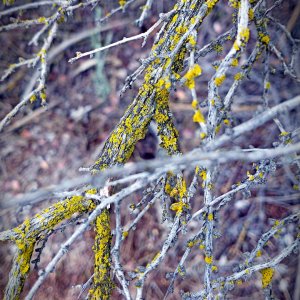 IMG_20251121_143342014 cropxv.jpg