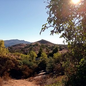 IMG_20251108_081015 cropx.jpg