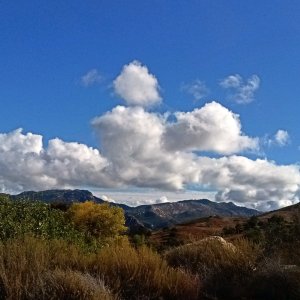 IMG_20251119_101145 cropx.jpg