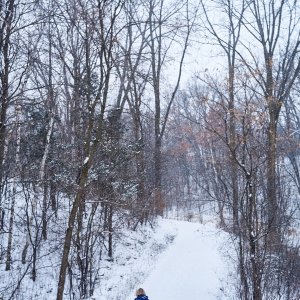 2025-11-29 ~ A7C09127.jpg