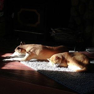 IMG_20251109_075610 cropx.jpg