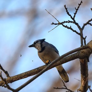 2025-12-03 ~ R52_3045.jpg