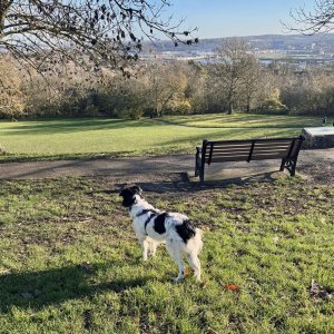 At Broomhill Park.jpg