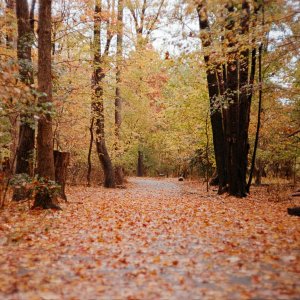 Roll _13_LeicaM3_2025_Image_02-positive.jpg