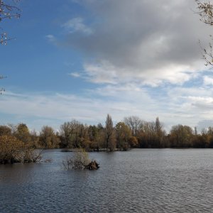 Leybourne Lakes in December.JPG