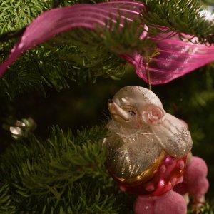 prettyinpink - 1.jpeg