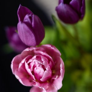 2025-12-06 ~ R52_3696.jpg