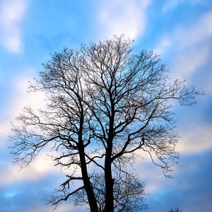 2025-12-07 ~ A7C09358.jpg