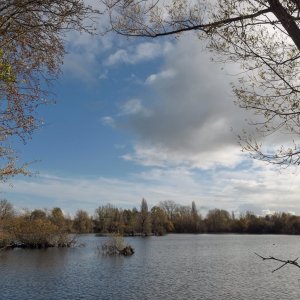 Road & Island Lake at Leybourne.JPG