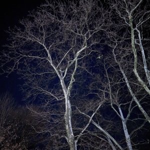 2025-12-11 ~ A7C09745.jpg