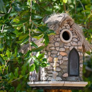 Leu Gardens Dec 2025 - 2500px -2.jpg