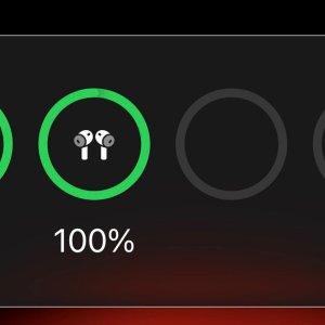 WhatsApp Image 2025-12-17 at 12.26.12.jpeg