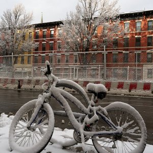 2025-12-14 ~ A7C00039.jpg