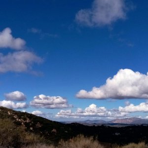 IMG_20251119_101939 cropxv2.jpg