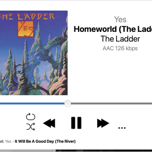 Screen Shot 2025-12-17 at 12.24.51 PM.png