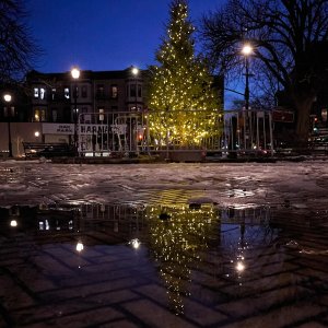 2025-12-18 ~ A7C00456.jpg