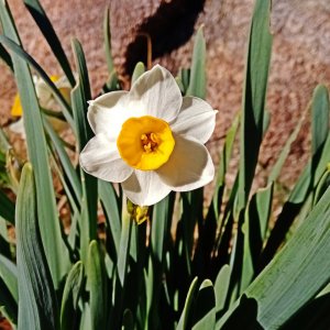 IMG_20251219_091759 cropx2.jpg