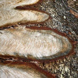 2025-12-21 ~ R52_6637.jpg