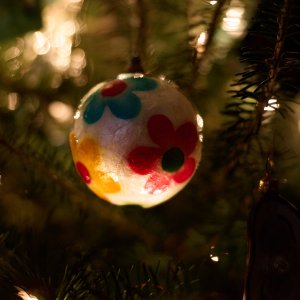 2025-12-26 ~ R52_9484.jpg