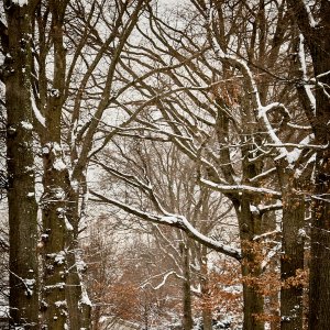 2025-12-27 ~ R52_9546.jpg