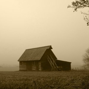 Barn In The Mist.JPG
