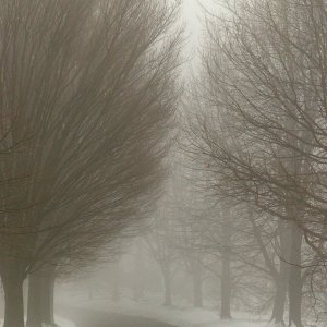 2025-12-29 ~ R52_0698.jpg