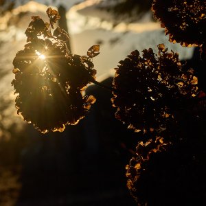 2026-01-01 ~ R52_2086.jpg