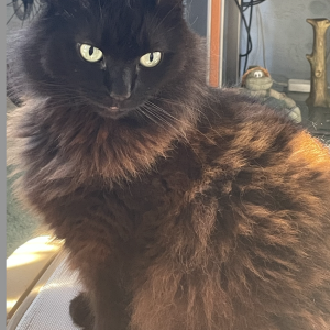 Screen Shot 2026-01-04 at 8.08.20 AM.png