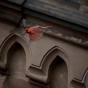 2026-01-02 ~ R52_2261.jpg