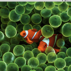 Screenshot 2026-01-05 at 2.11.12 AM.png