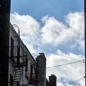 2026-01-07 ~ R52_3411.jpeg