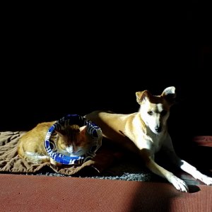 IMG_20260110_090347 cropx.jpg