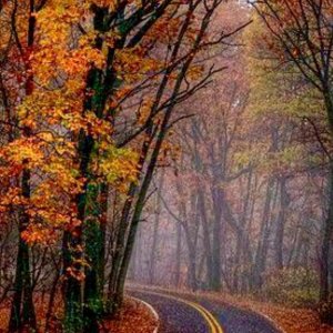 Screenshot_20260110_213635_One UI Home.jpg