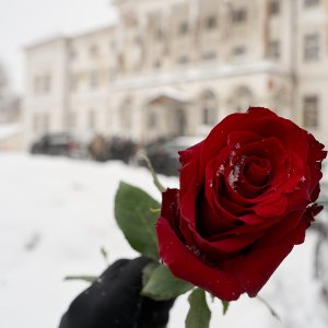 2026-01-10 ~ A7C01939.jpg