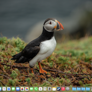 Screenshot 2026-01-11 at 5.07.58 PM.png