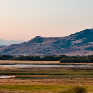 foothilldawn - 1.jpeg