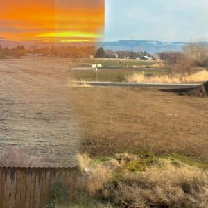 backyardnowFINISH - 1.jpeg