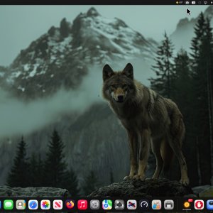 2026-01-15 13.26.10.jpeg