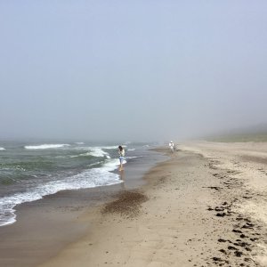 BB09E002-7FB4-4D0B-A43C-3D3BF367EBFF 2.jpeg