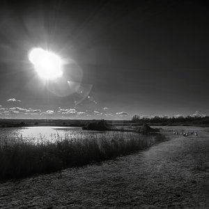 Kingfisher Lake in Infrared.jpg
